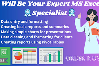 create excel report, excel cleaning, formatting,  pivot table