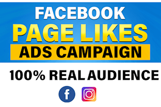 create a facebook ad campaign to grow your page likes