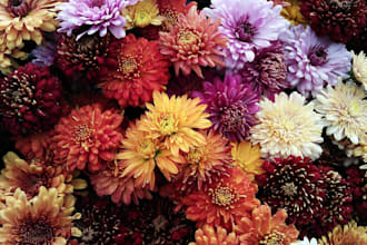 write a moving and honoring eulogy, and tribute