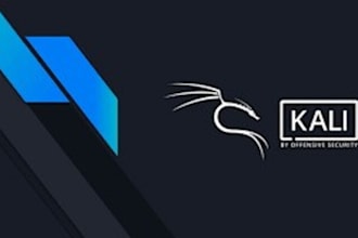 fix security vulnerabilities like sql injection, ddos attack, xss dns kali linux