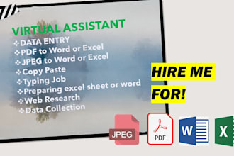 do data entry, PDF or jpeg to word or excel, copy and paste