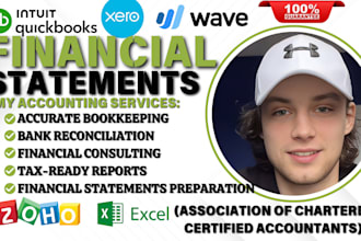 do bookkeeping financial statements ,consulting, balance sheet profit and loss