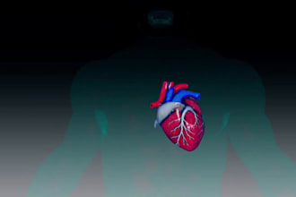 do 3d medical animation 3d laboratory animation 3d medical surgery 3d anatomy