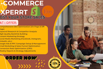 increase website sales with full marketing and SEO package
