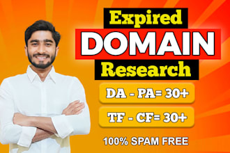 do advanced expired domain research for your niche