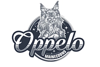 create exclusive and marvelous cat logo design