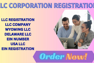 carry out non USA resident llc registration delaware registration ein for you