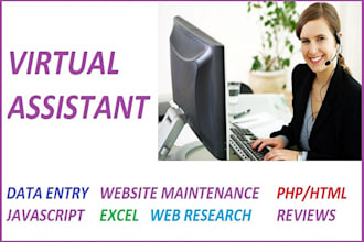 be your virtual assistant for 3 hours