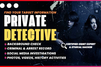 be your private investigator, osint and do background check