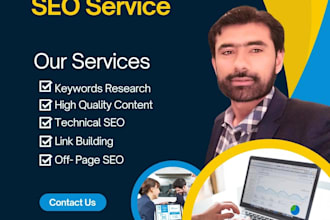 provide complete monthly SEO service for top google ranking
