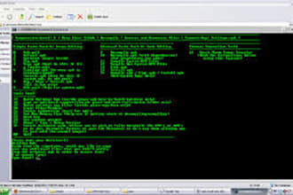 create  decompile vue crack psword, reverse engineering, decompile game apk dll