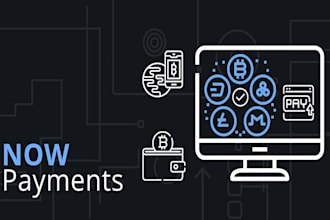 setup API integration for high risk payment gateway crypto payment processor