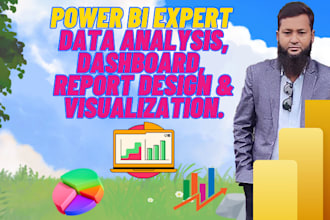 offer unique design and build insightful power bi expert dashboards