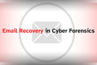 conduct expert email forensics, investigation, and analysis
