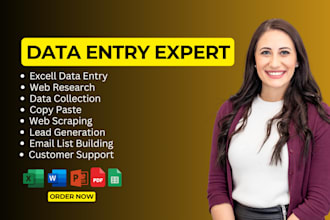 do data entry, copy paste, and web research in 12 hours