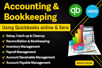 do quickbooks, xero bookkeeping with setup, cleanup, reconcile and payroll