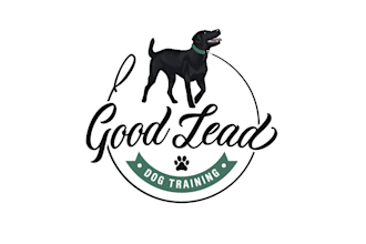design a high quality dog training logo with a professional touch