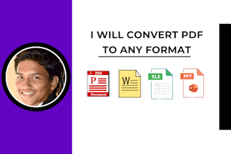 convert PDF to word, google docs, power point, typing services