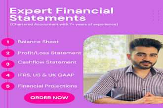 prepare financial statements, balance sheet and profit and loss statement