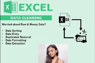 clean excel spreadsheet and data cleaning and data cleanup