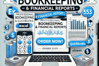 do professional bookkeeping and financial reports in excel and erps