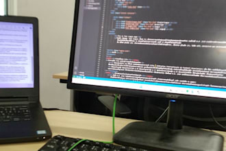 do expert java programming and development projects for you