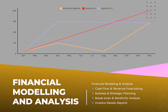create tailored financial models, forecasts, and strategic plans