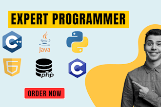 build python programs, apis, or bots for any use case