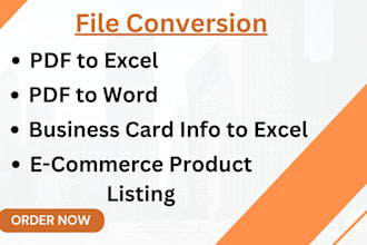 do professional file conversion and ecommerce leads, product listing data entry