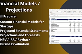 prepare investor ready financial models, forecasts, and business valuations