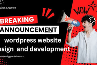 create google adsense approved wordpress website for you
