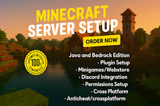 setup and optimize a professional minecraft server for you