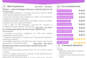 professional cv for corporate career