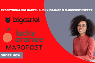 boost your ecommerce sales with big cartel lucky orange maropost setup