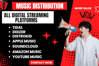 do music distribution to all streaming platforms distrokid cd baby deezer apple