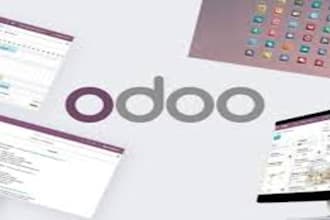 manage your odoo bookkeeping and financial reporting