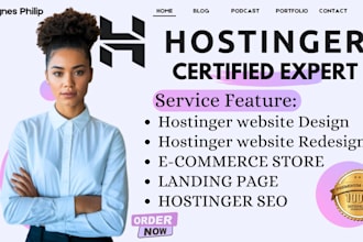 build a professional hostinger website, landing page or business website