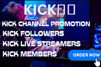 do kick channel promotion, viewers and chatters, kick follower