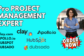 setup clay com apollo io hubspot zoho crm dubsado 17hat workflows and automation