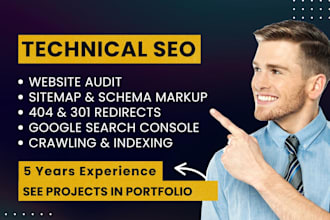 fix technical SEO, google search console errors, and perform website audits