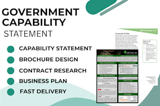 design effective federal government capability statement, capability statement