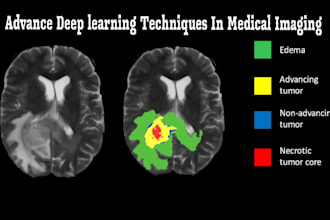 do medical imaging processing with ml, dl, computer vision