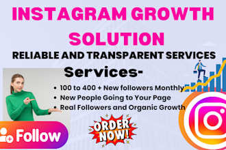 social media marketing and instagram account growth services