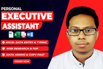 best executive assistant for your visual admin data entry and typing work