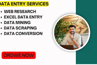 do fastest accurate data entry, manual data entry typing work