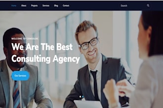 consultant agency website business website ecommerce website investment website
