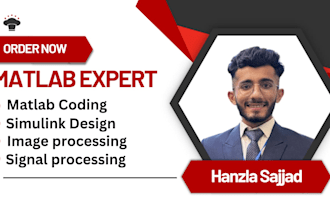 do fast and reliable matlab programming with detailed reports