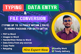 provide typing, data entry and file conversion services