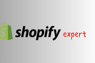 examine, audit, and improve your shopify dropshipping store