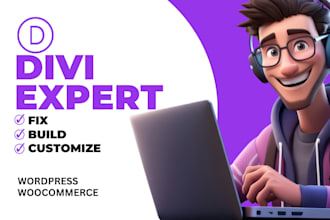 provide expert support for your divi wordpress website
